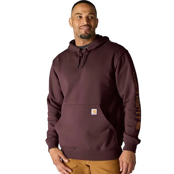 Carhartt LOOSE FIT MIDWEIGHT LOGO SLEEVE GRAPHIC HOODIE Size Large - Picture 1 of 12